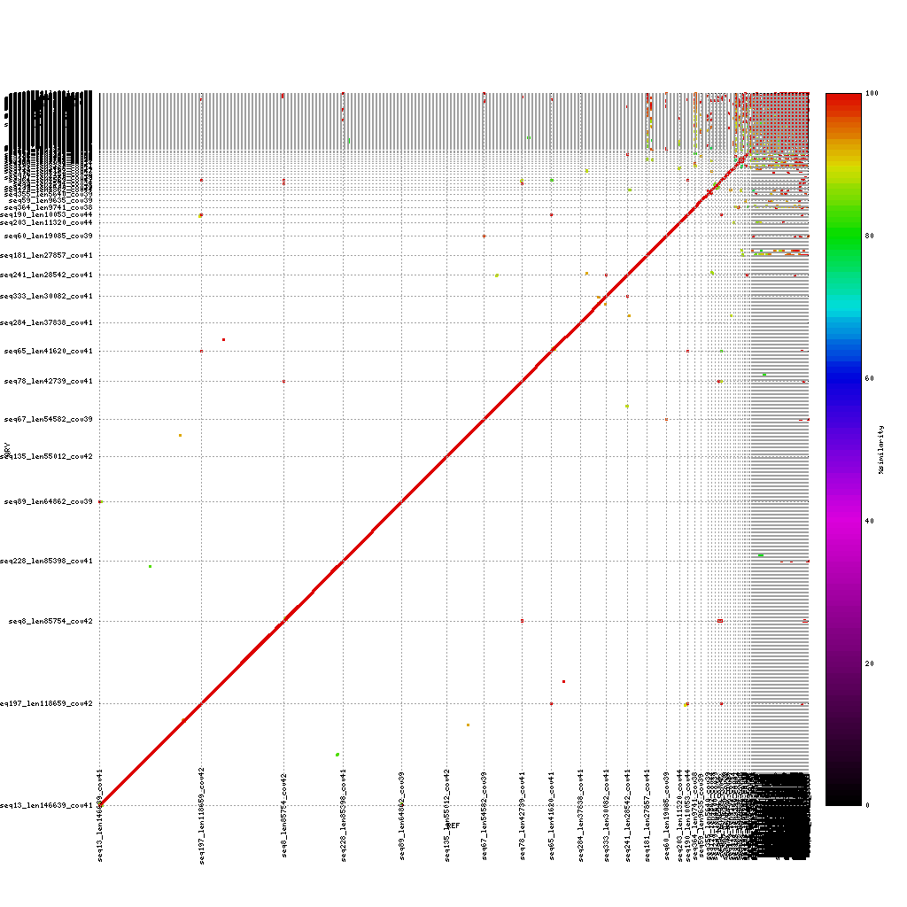 Illumina