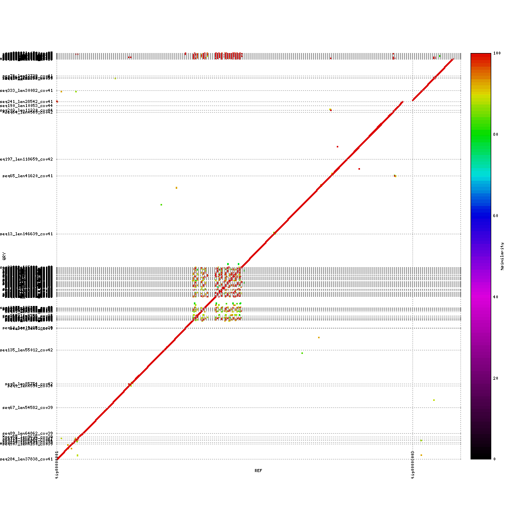 PacBio vs Illumina